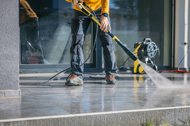 Best Soft Washing  in Fort Polk North, LA